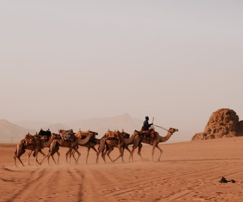 Viaje Egipto y Jordania – Febrero 2027